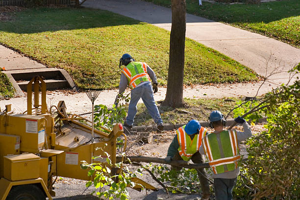 Lawn Watering Services in Bay Hill, FL